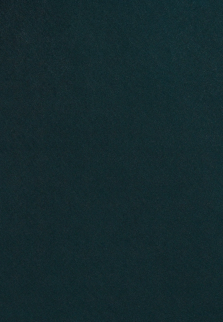 Tussah Valarie Midi Dress 8 Tussah Valarie Midi Dress - Image 6